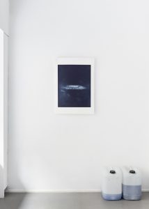 Hecht unter Wasser, 2018, Heliogravur auf Büttenpapier, 78 x 56 cm, Auflage 5